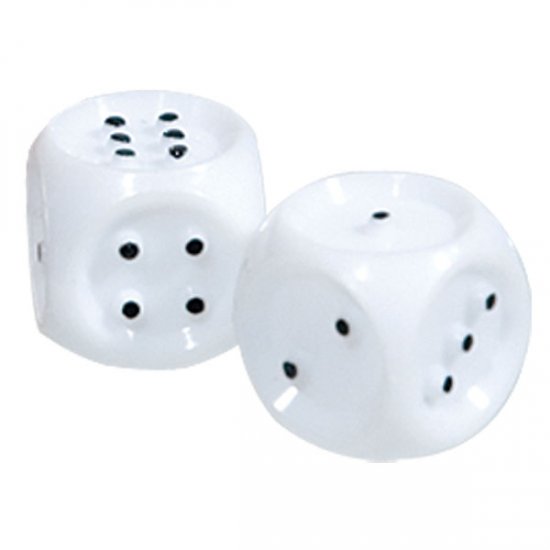 Brailled Dice - Set of 2 Dice
