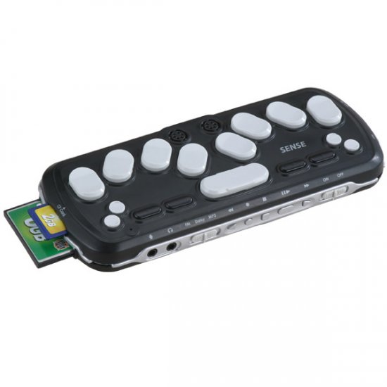 Voice Sense Portable PDA with Speech Output Voice Sense Portable PDA with Speech Output
