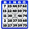 Large Print Bingo Cards - 10 Pack