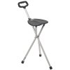 Folding Lightweight Cane Seat - Silver