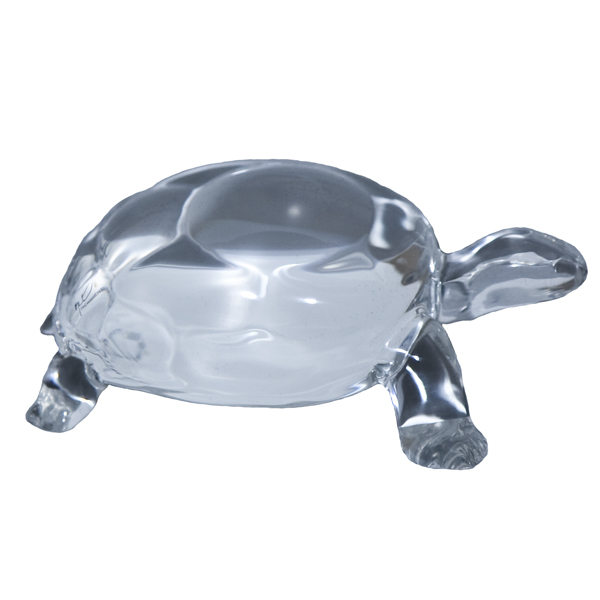 2X Eschenbach Bright Field Magnifier - Art of Optics: The Tortoise - Click Image to Close